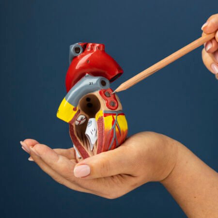 Aneurisma de Aorta: o que é, sintomas, riscos e quando operar