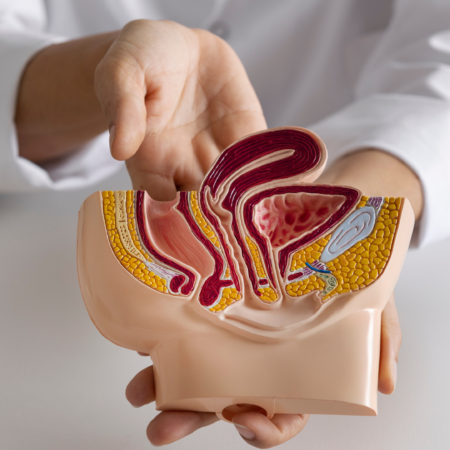 Hemorroidas e Doença Vascular | Dr. Antônio Queiroz