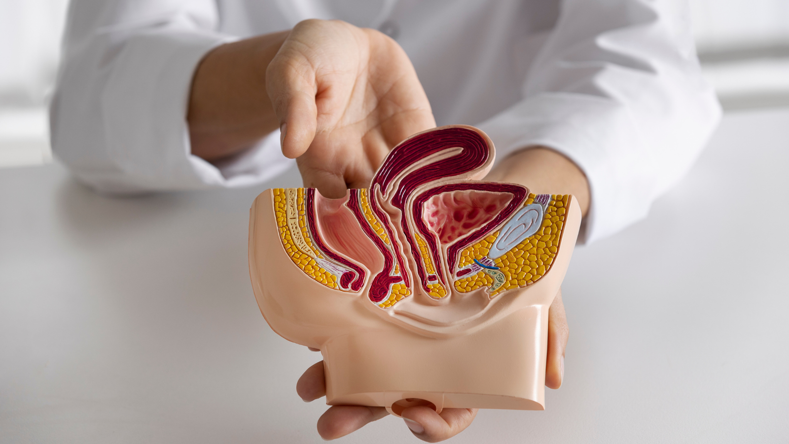 Hemorroidas e Doença Vascular | Dr. Antônio Queiroz
