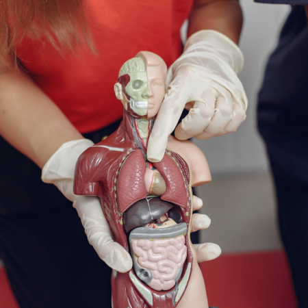 Síndrome de Nutcracker 6 Sintomas do Pinçamento da Veia Renal Esquerda | Dr. Antônio Queiroz